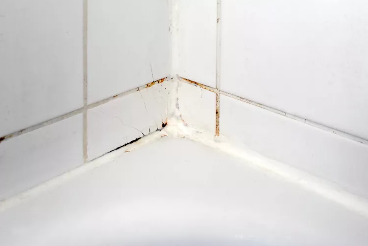 چگونه کپک حمام را از بین ببریم (و نگذاریم دوباره برگردد)